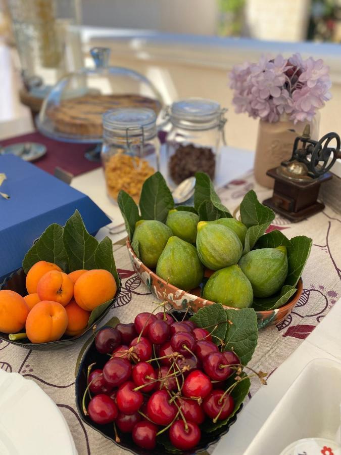 B&B Villa Gallo Torre Squillace 外观 照片