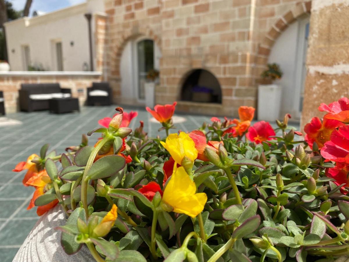 B&B Villa Gallo Torre Squillace 外观 照片